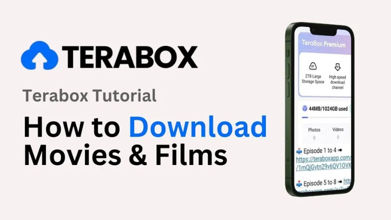 How to Download Videos from TeraBox